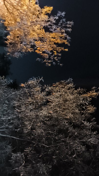 مشاركاتي في أنت الراصد