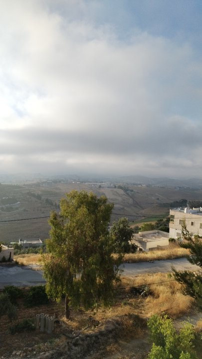 مشاركاتي في أنت الراصد