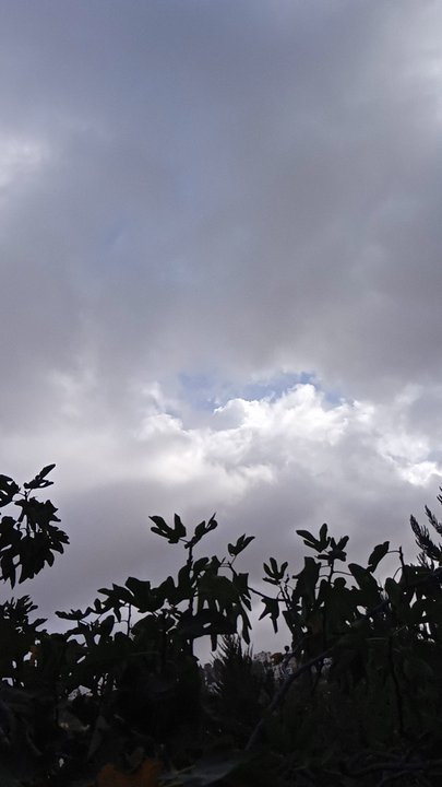 Mes publications Crowdsourcing