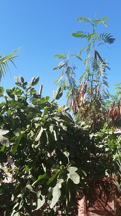 My Crowdsourcing Posts