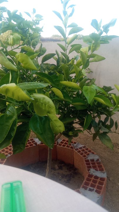 My Crowdsourcing Posts