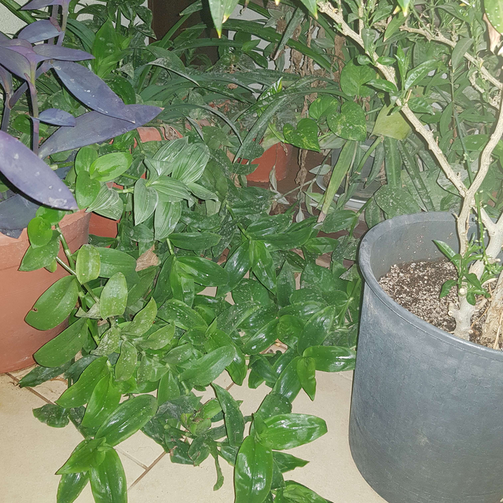 My Crowdsourcing Posts