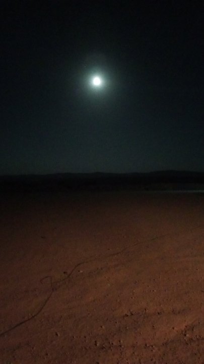 مشاركاتي في أنت الراصد