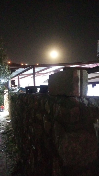 مشاركاتي في أنت الراصد