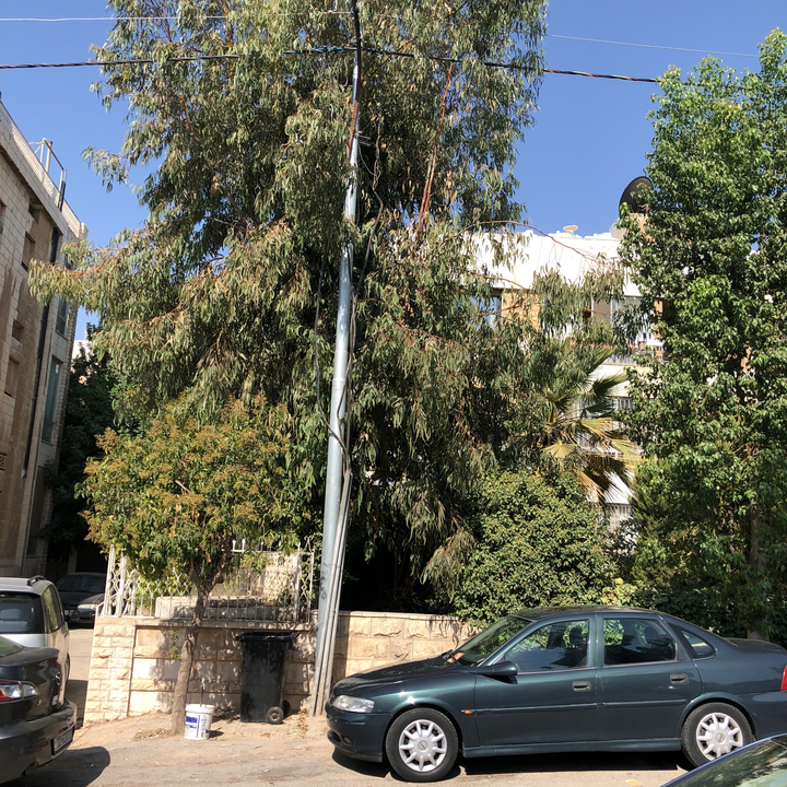 My Crowdsourcing Posts