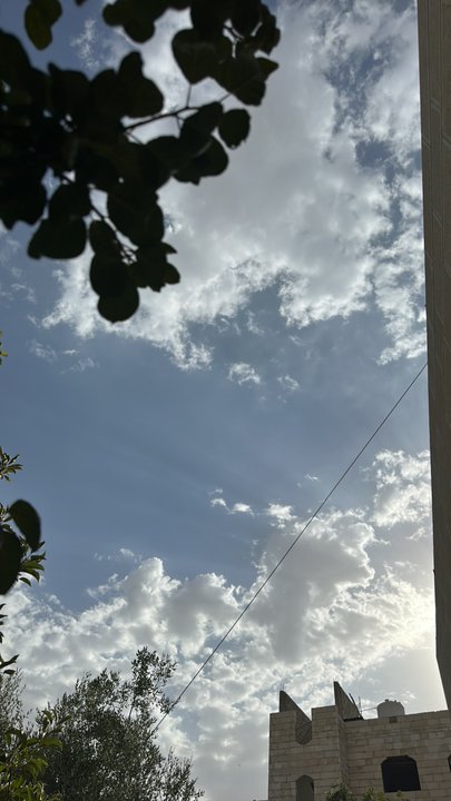 مشاركاتي في أنت الراصد