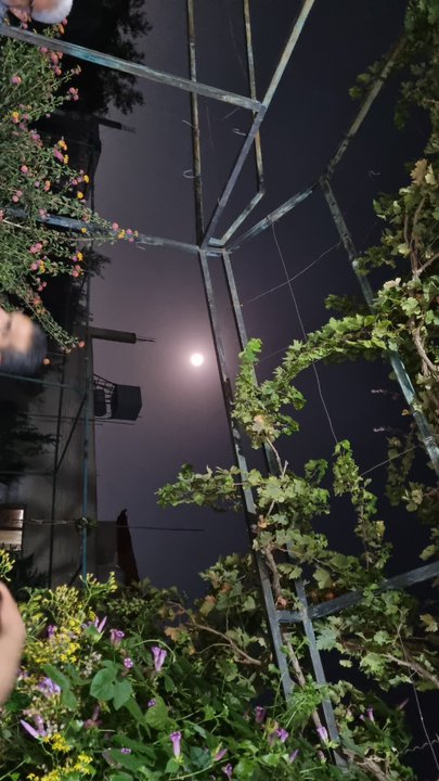 My Crowdsourcing Posts