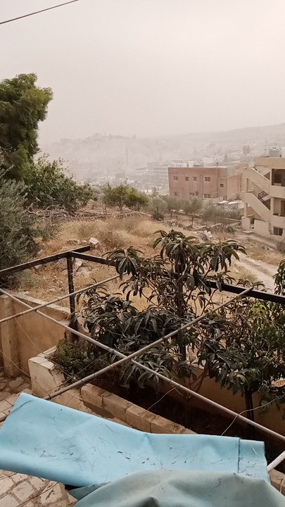 مشاركاتي في أنت الراصد