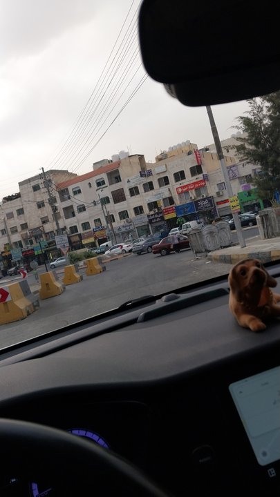 مشاركاتي في أنت الراصد