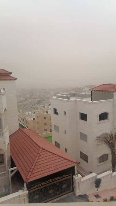 مشاركاتي في أنت الراصد