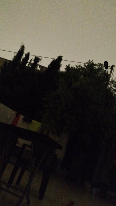 مشاركاتي في أنت الراصد