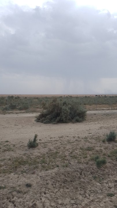 مشاركاتي في أنت الراصد