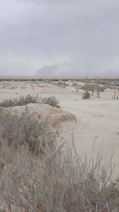 مشاركاتي في أنت الراصد