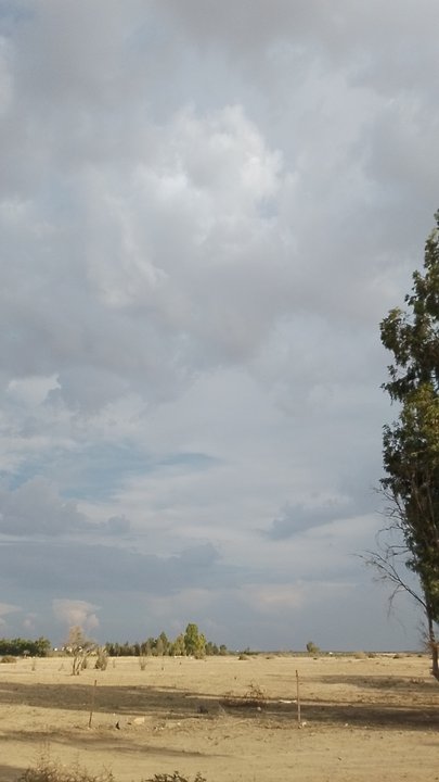 مشاركاتي في أنت الراصد