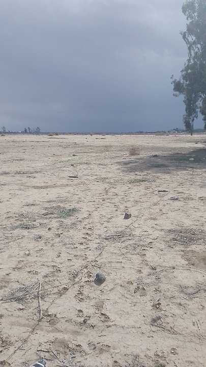 My Crowdsourcing Posts