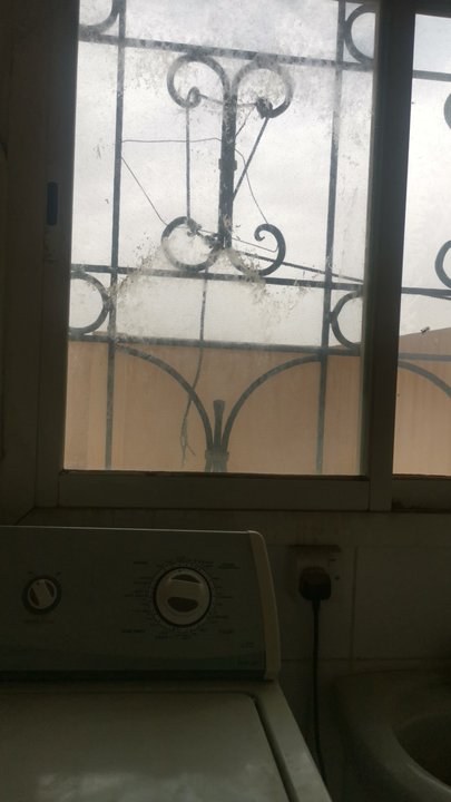 Mes publications Crowdsourcing