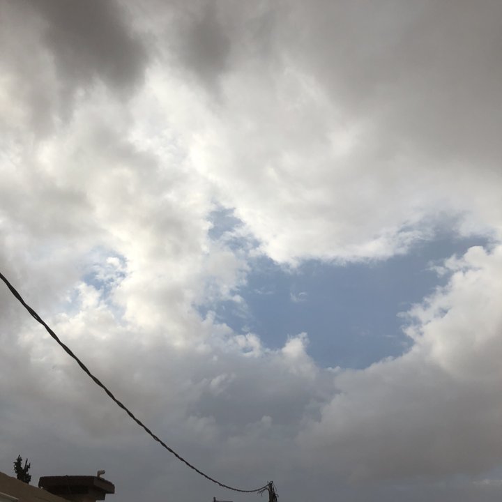 مشاركاتي في أنت الراصد