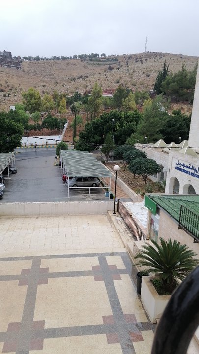 مشاركاتي في أنت الراصد