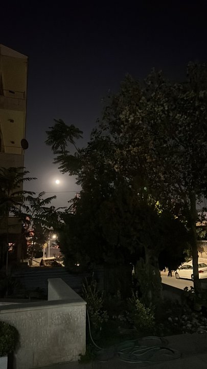 مشاركاتي في أنت الراصد