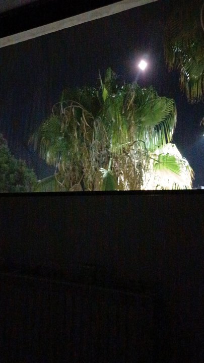 My Crowdsourcing Posts