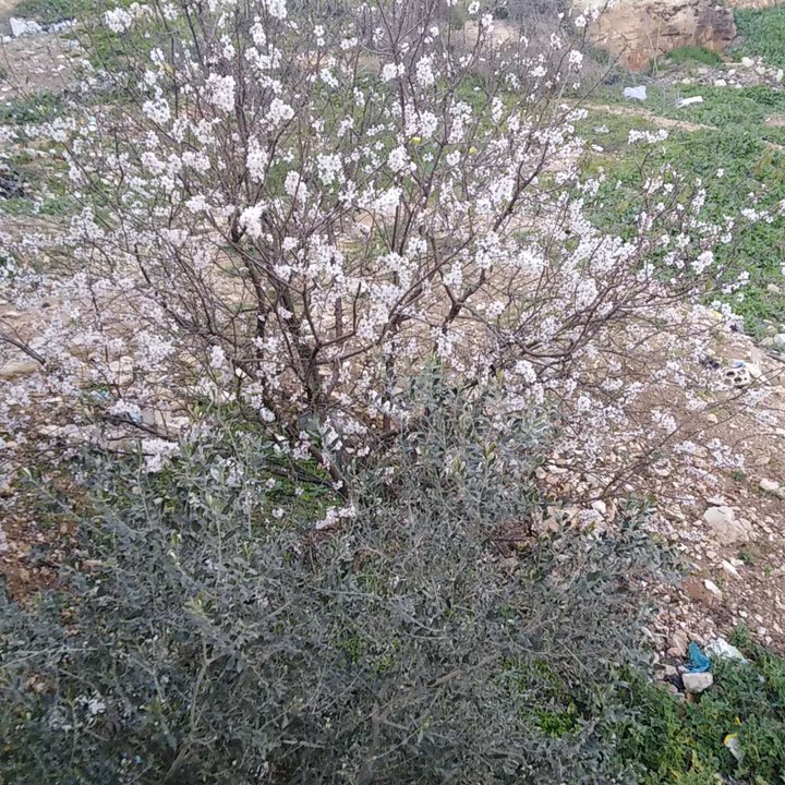 My Crowdsourcing Posts