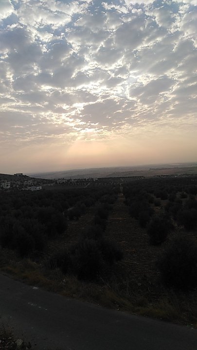 مشاركاتي في أنت الراصد