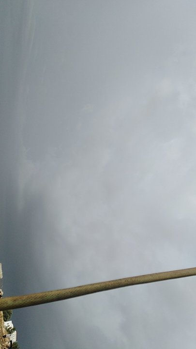 مشاركاتي في أنت الراصد