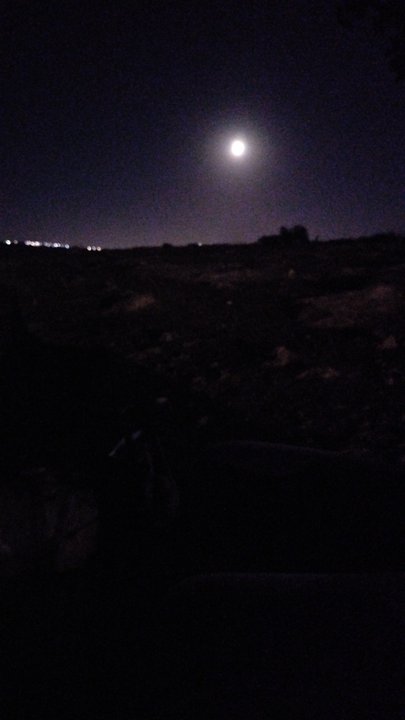 مشاركاتي في أنت الراصد