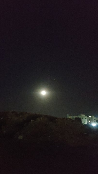 مشاركاتي في أنت الراصد