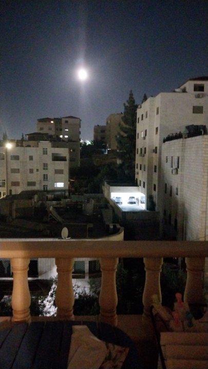 مشاركاتي في أنت الراصد