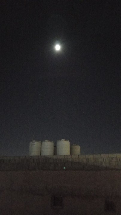 مشاركاتي في أنت الراصد