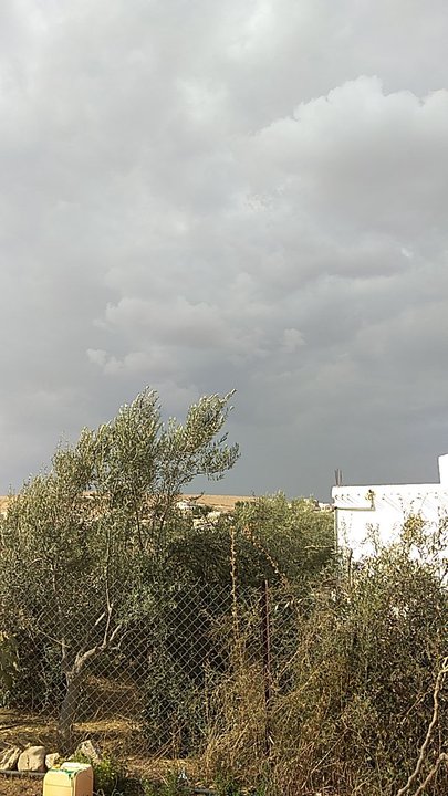 مشاركاتي في أنت الراصد