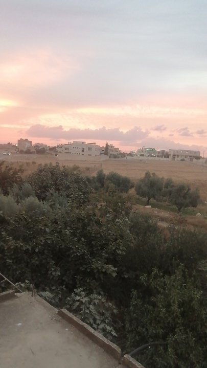 مشاركاتي في أنت الراصد