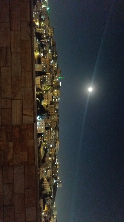 مشاركاتي في أنت الراصد