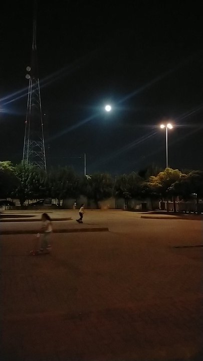 مشاركاتي في أنت الراصد