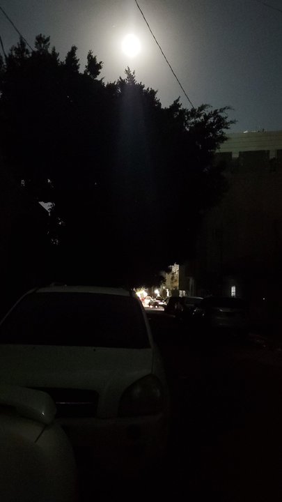 مشاركاتي في أنت الراصد