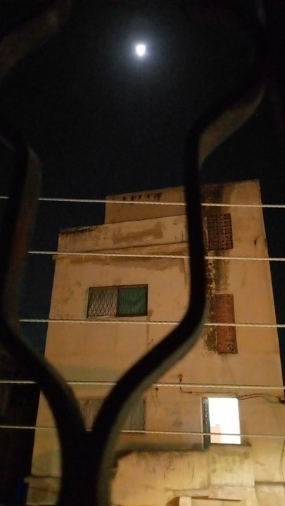 مشاركاتي في أنت الراصد