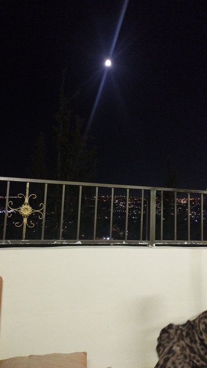 مشاركاتي في أنت الراصد