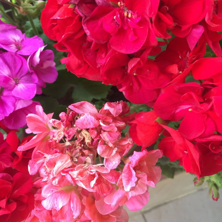 Mes publications Crowdsourcing