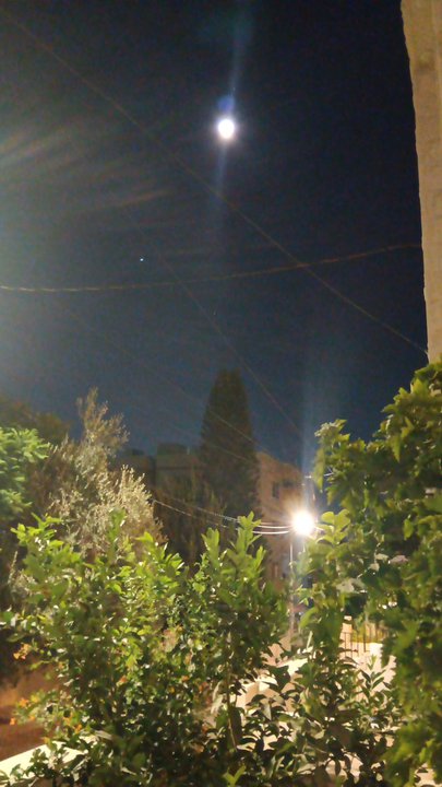 مشاركاتي في أنت الراصد