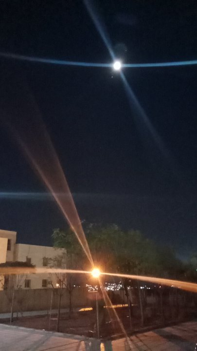 مشاركاتي في أنت الراصد