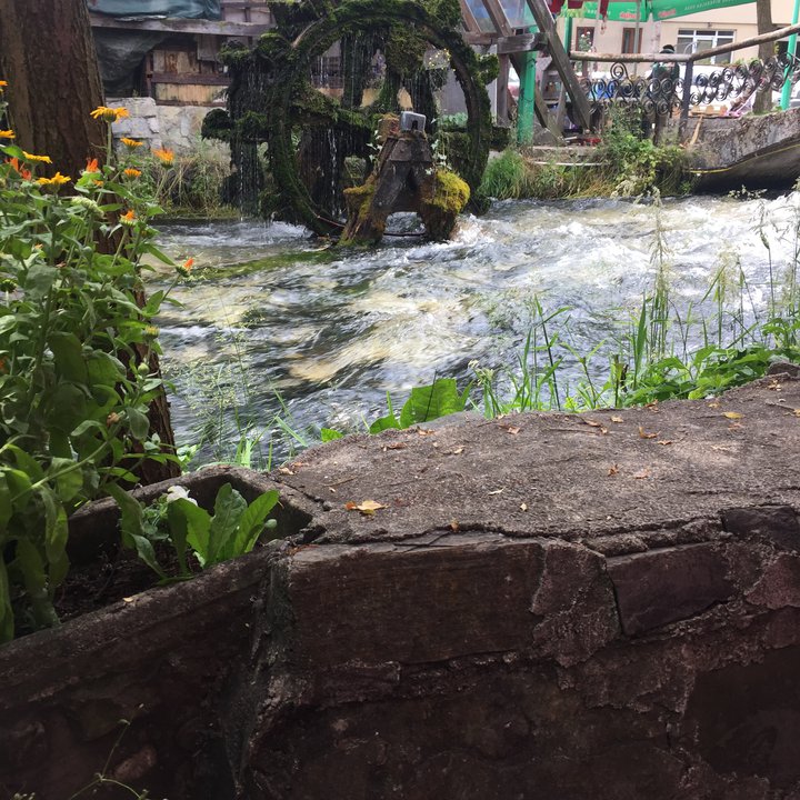 مشاركاتي في أنت الراصد