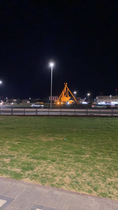 مشاركاتي في أنت الراصد