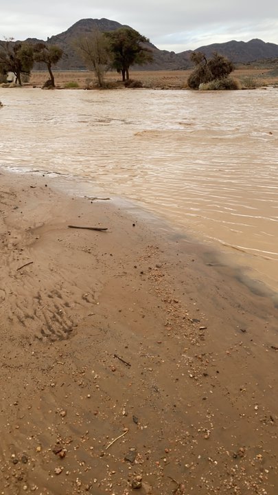 مشاركاتي في أنت الراصد