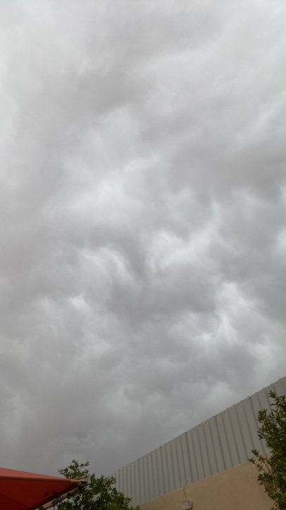 مشاركاتي في أنت الراصد