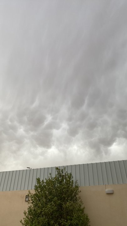 Mes publications Crowdsourcing