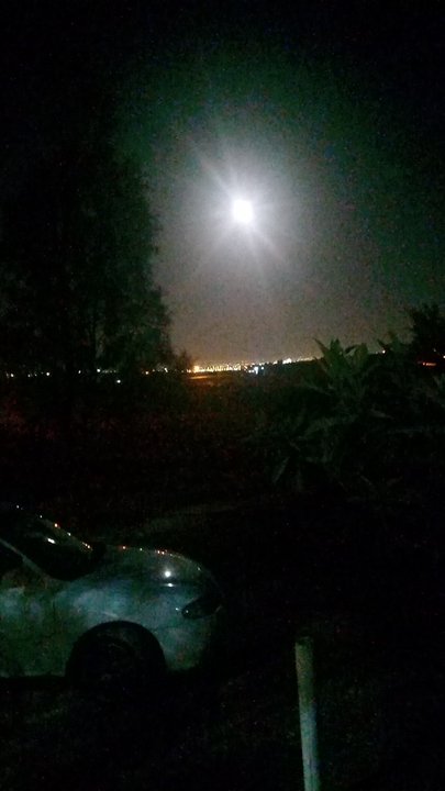 مشاركاتي في أنت الراصد