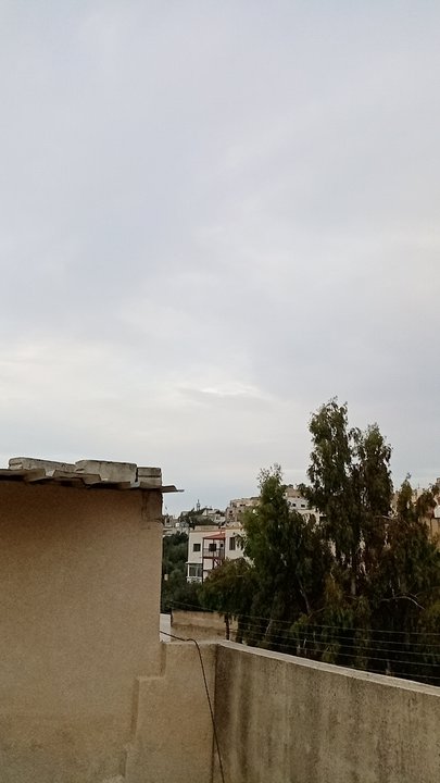 مشاركاتي في أنت الراصد