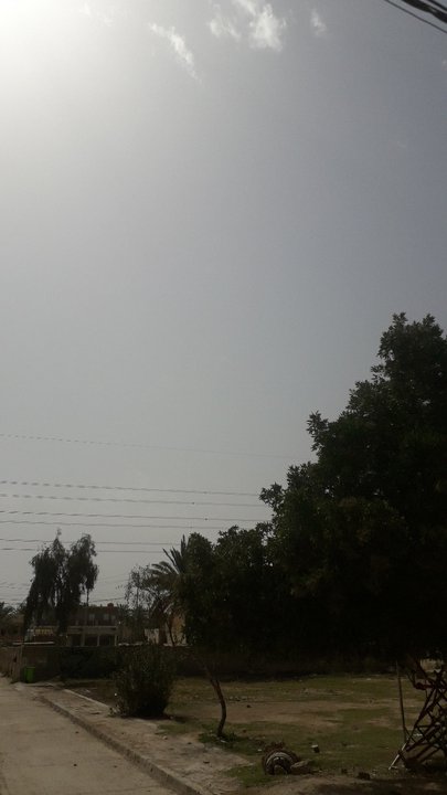 مشاركاتي في أنت الراصد