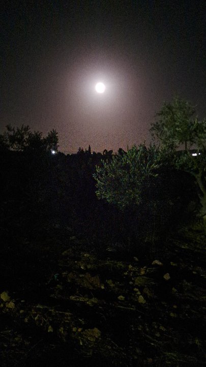 مشاركاتي في أنت الراصد